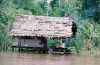 Amazon river home
